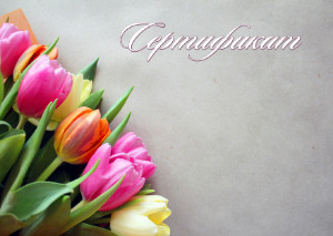 Шаблон художественного сертификата "Весенние тюльпаны"