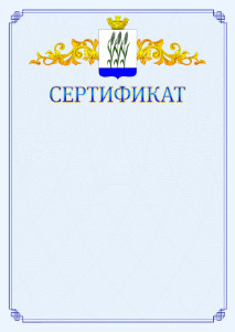 Шаблон официального сертификата №15 c гербом Камышина