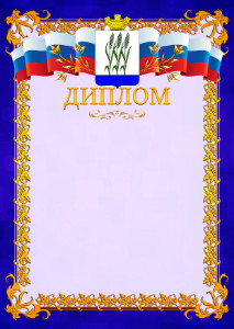 Шаблон официального диплома №7 c гербом Камышина