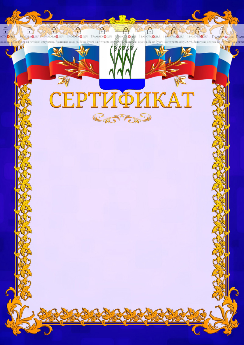 Шаблон официального сертификата №7 c гербом Камышина