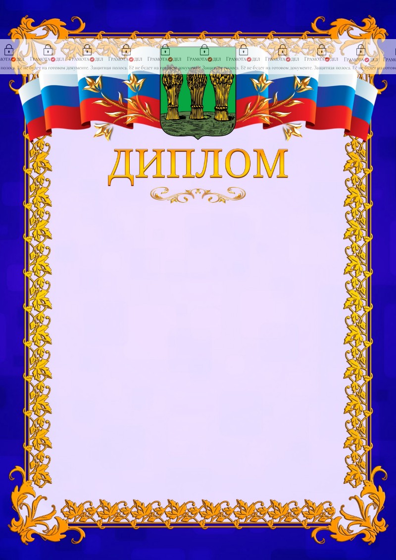 Шаблон официального диплома №7 c гербом Пензы