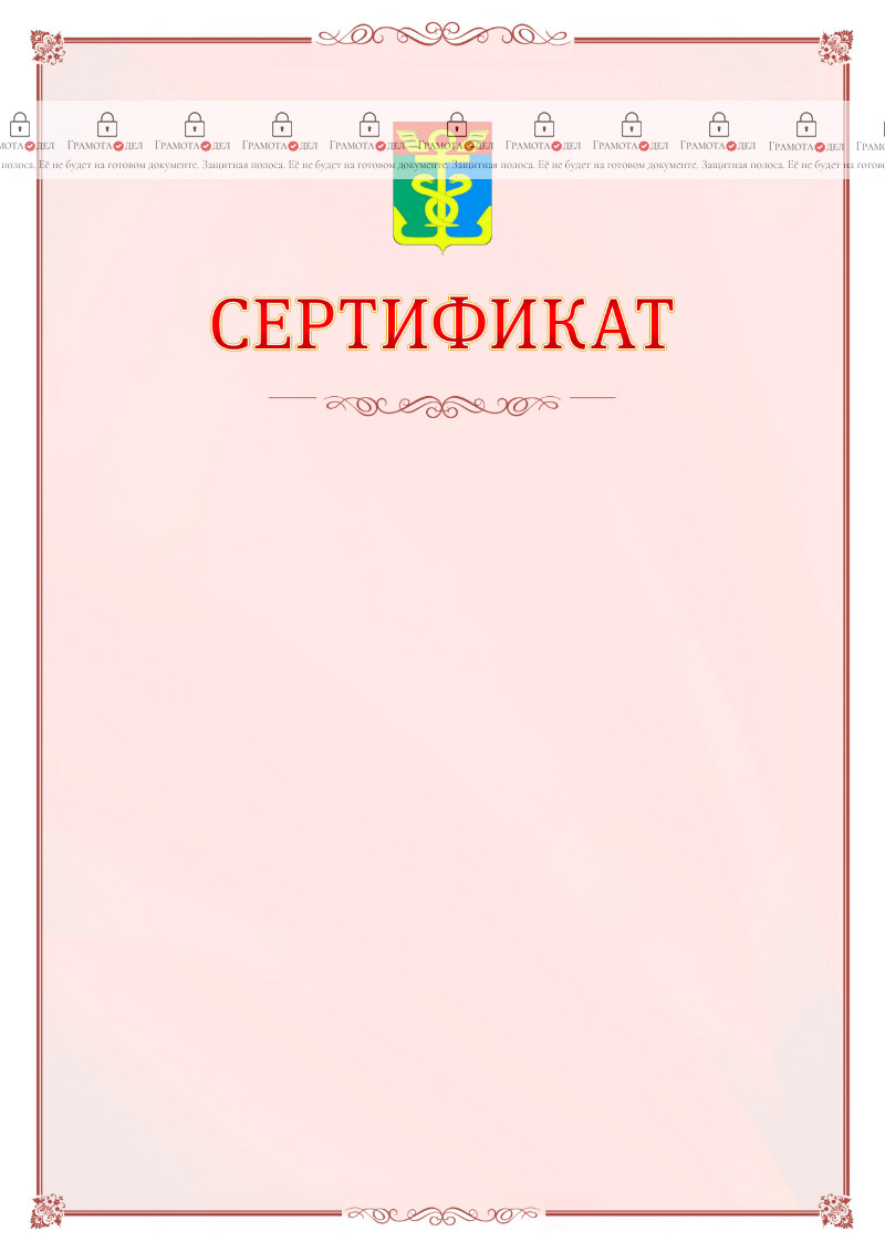 Шаблон официального сертификата №16 c гербом Находки
