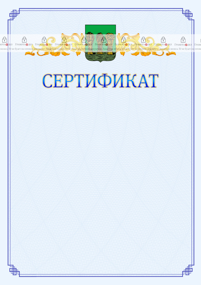 Шаблон официального сертификата №15 c гербом Пензы