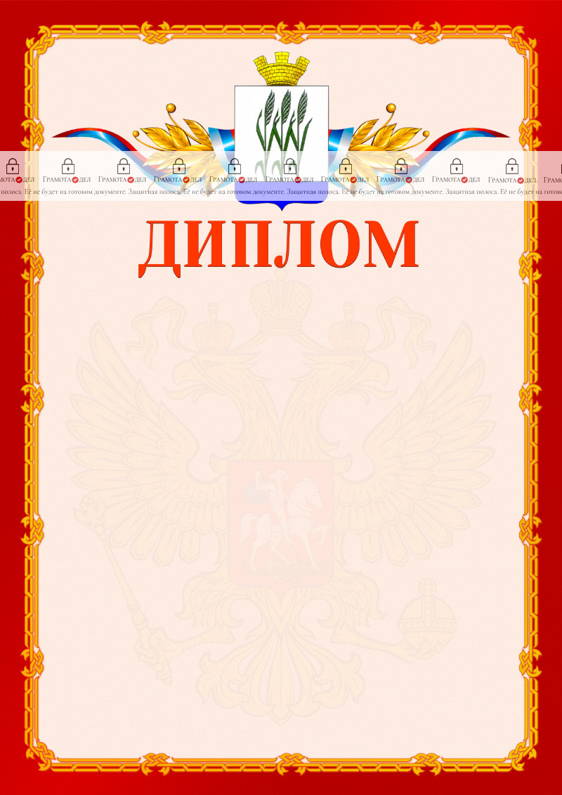 Шаблон официальнго диплома №2 c гербом Камышина