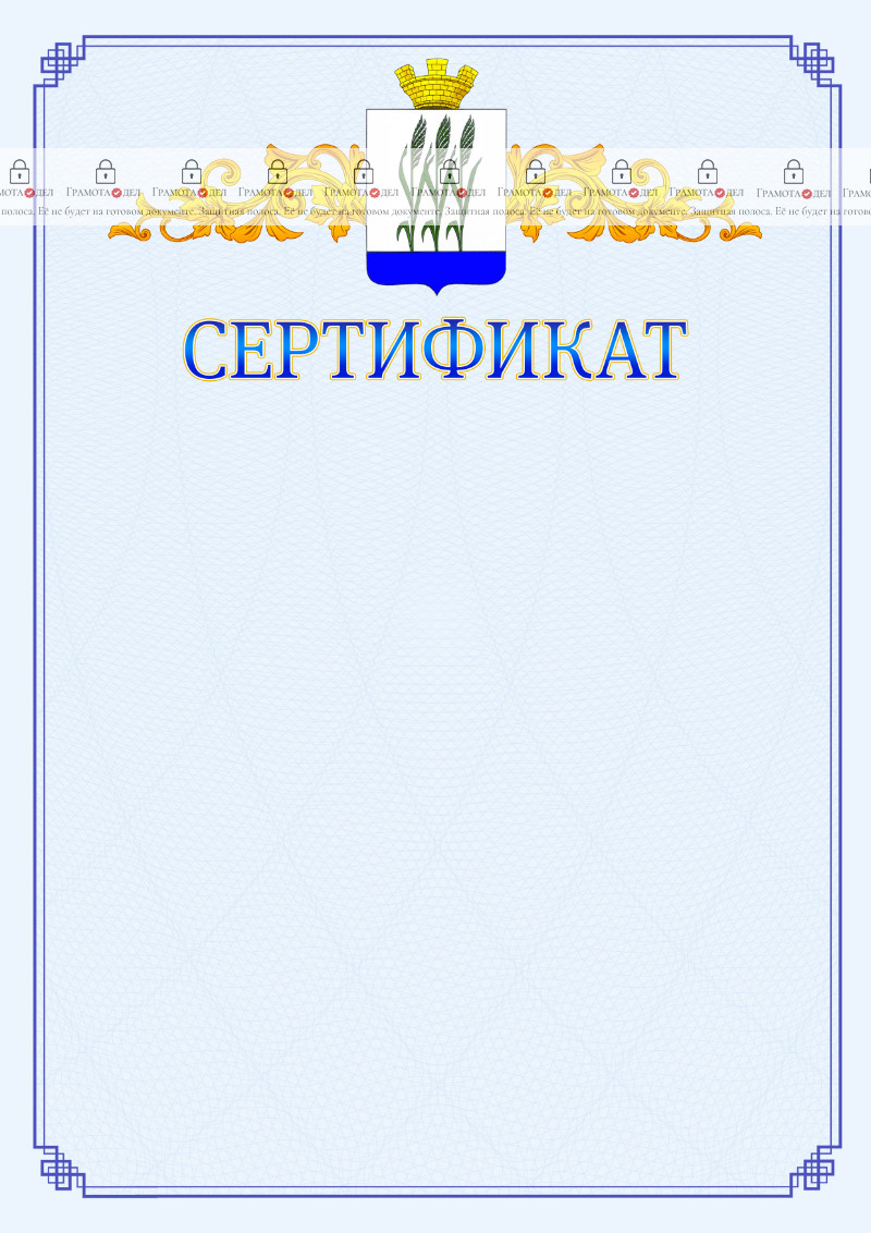 Шаблон официального сертификата №15 c гербом Камышина