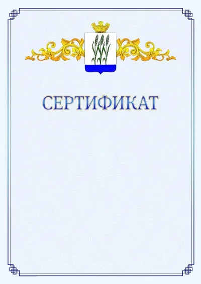 Шаблон официального сертификата №15  с гербом  Камышина