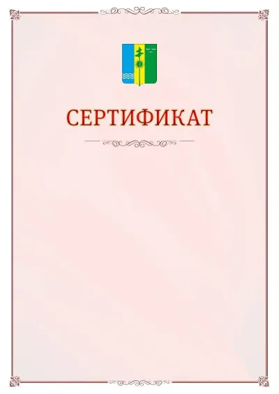 Шаблон официального сертификата №16 с гербом Нижнекамска