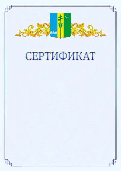 Шаблон официального сертификата №15  с гербом  Нижнекамска
