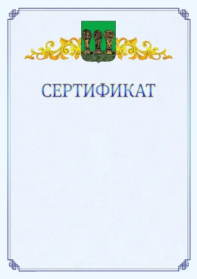Шаблон официального сертификата №15  с гербом  Пензы
